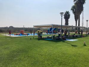 Impuls DIPTA. Salut Pública