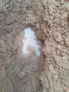 Impuls DIPTA. Salut Pública