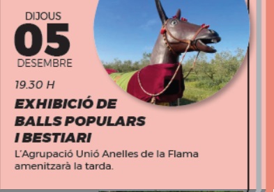 Imagen de la activitat